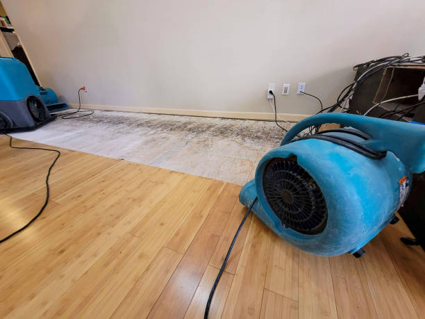 Professional Ceiling Water Damage Repair technician working in Barrington, IL