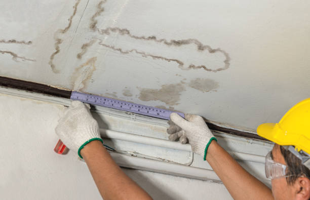 Affordable Ceiling Water Damage Repair solutions in Barrington, IL